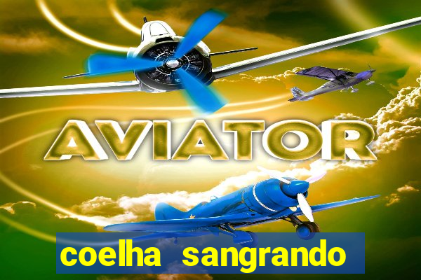 coelha sangrando pela parte intima